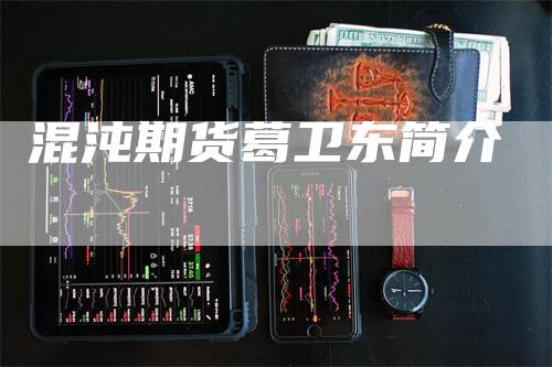 混沌期货葛卫东简介