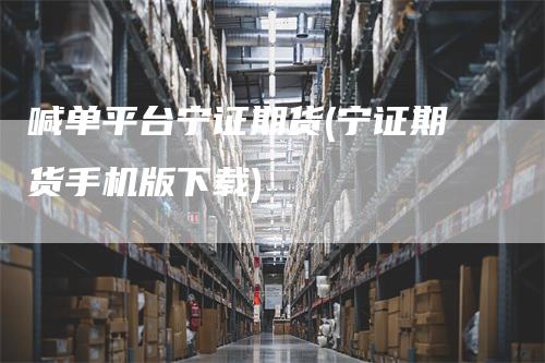 喊单平台宁证期货(宁证期货手机版下载)