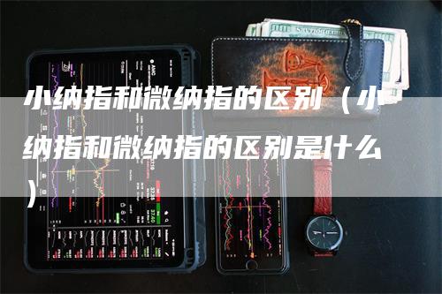 小纳指和微纳指的区别（小纳指和微纳指的区别是什么）