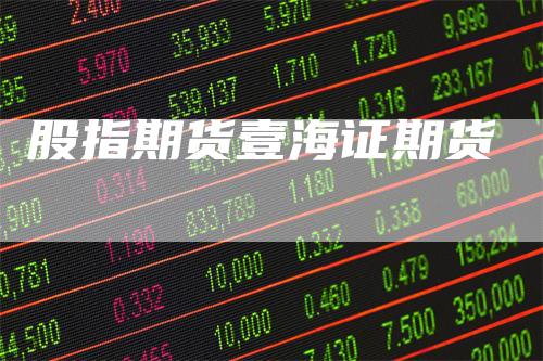 股指期货壹海证期货