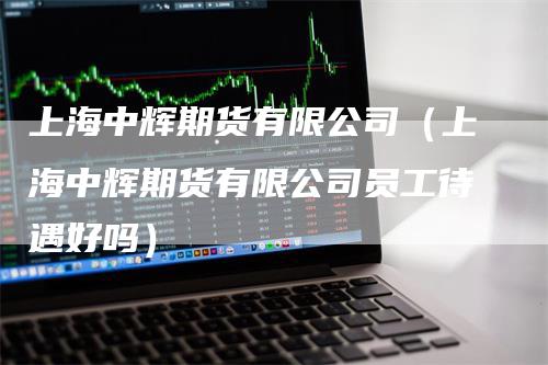 上海中辉期货有限公司(上海中辉期货有限公司员工待遇好吗)