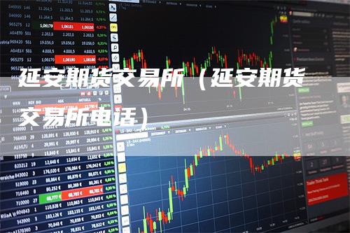 延安期货交易所（延安期货交易所电话）