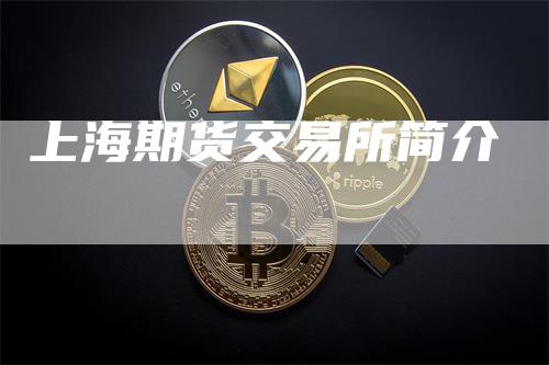 上海期货交易所简介
