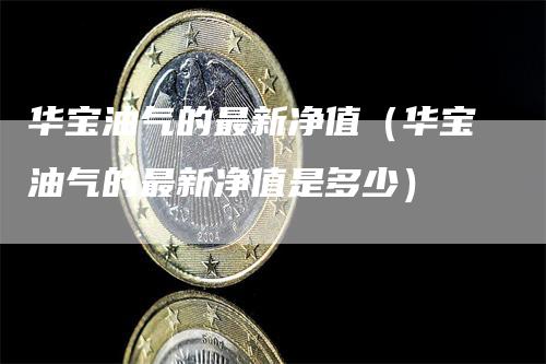 华宝油气的最新净值（华宝油气的最新净值是多少）