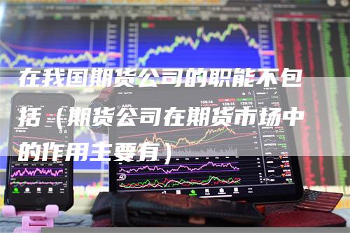 在我国期货公司的职能不包括（期货公司在期货市场中的作用主要有）