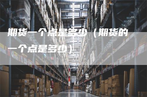 期货一个点是多少（期货的一个点是多少）