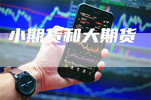 小期货和大期货