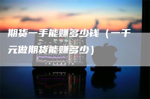 期货一手能赚多少钱(一千元做期货能赚多少)