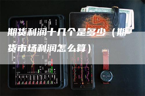 期货利润十几个是多少（期货市场利润怎么算）