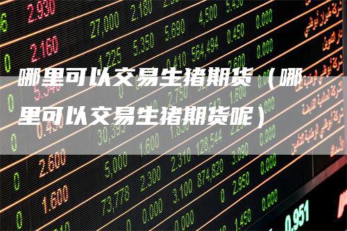 哪里可以交易生猪期货（哪里可以交易生猪期货呢）