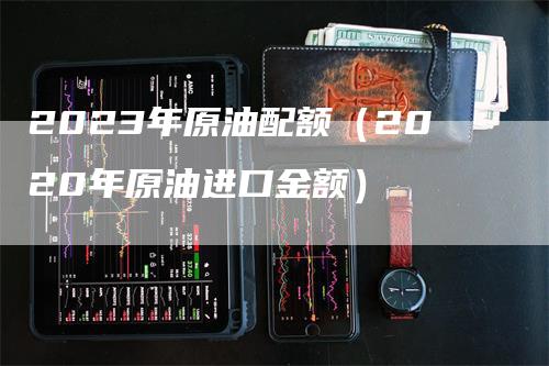 2023年原油配额（2020年原油进口金额）