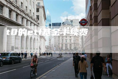 t0的etf基金手续费