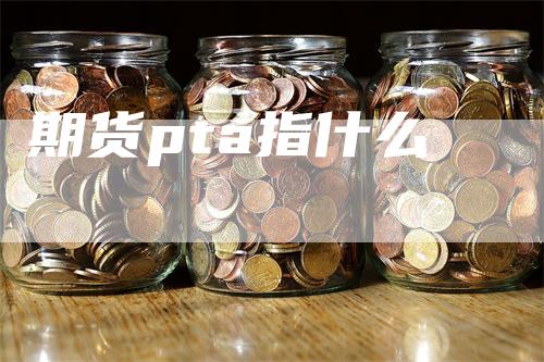 期货pta指什么