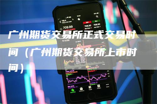 广州期货交易所正式交易时间（广州期货交易所上市时间）