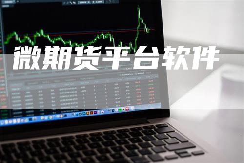 微期货平台软件