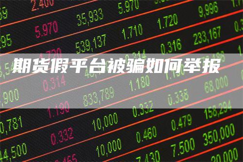 期货假平台被骗如何举报