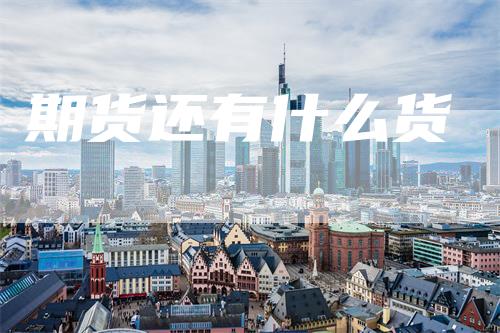 期货还有什么货