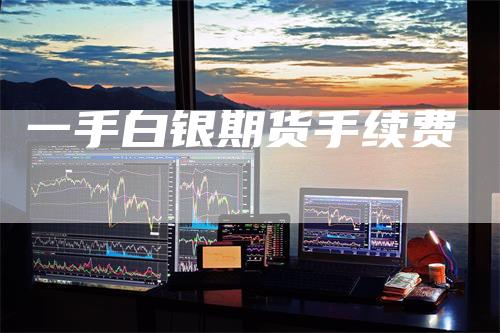 一手白银期货手续费