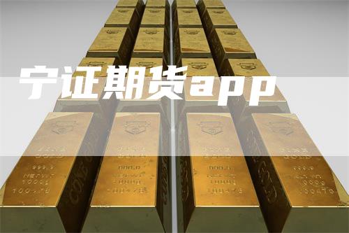 宁证期货app