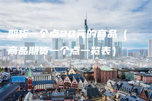 期货一个点20元的商品（商品期货一个点一览表）