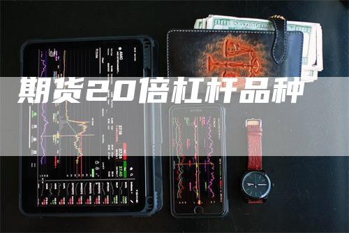期货20倍杠杆品种