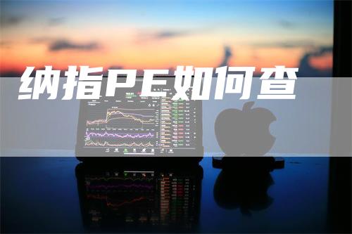 纳指PE如何查
