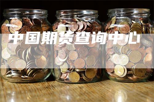 中国期货查询中心