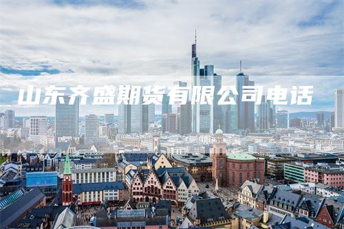 山东齐盛期货有限公司电话