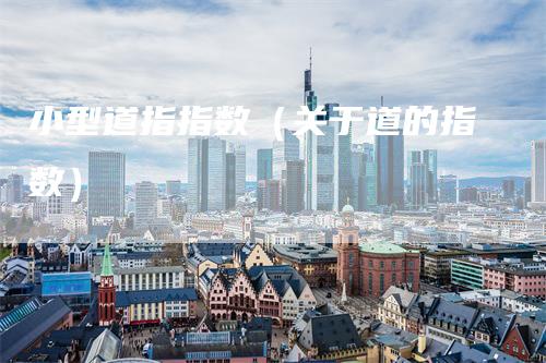 小型道指指数（关于道的指数）
