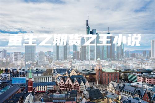重生之期货之王小说