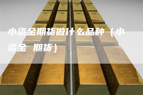 小资金期货做什么品种（小资金 期货）