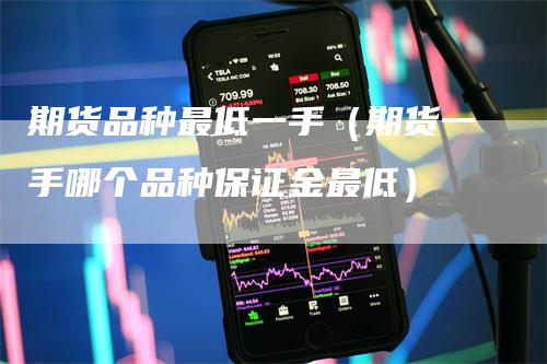 期货品种最低一手（期货一手哪个品种保证金最低）