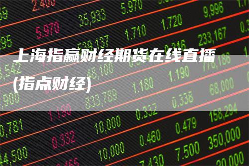 上海指赢财经期货在线直播(指点财经)