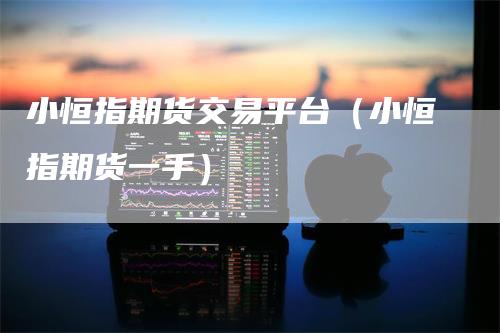 小恒指期货交易平台(小恒指期货一手)