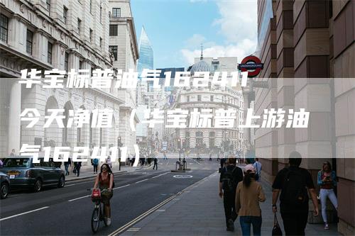 华宝标普油气162411今天净值（华宝标普上游油气162411）