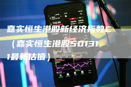嘉实恒生港股新经济指数C(嘉实恒生港股501311最新估值)