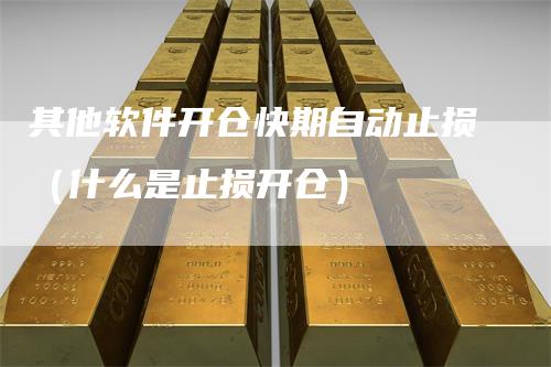 其他软件开仓快期自动止损(什么是止损开仓)