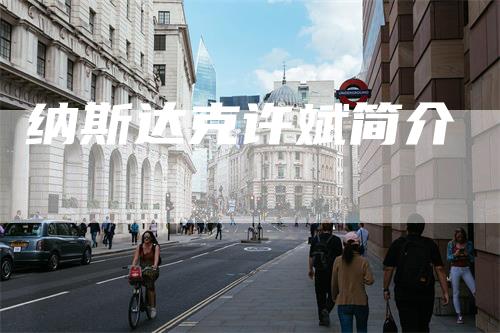 纳斯达克许斌简介