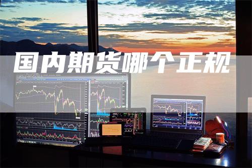 国内期货哪个正规