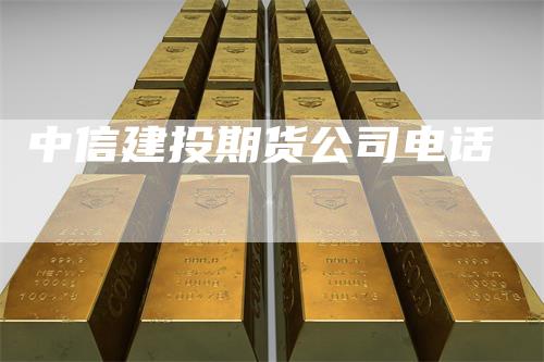 中信建投期货公司电话