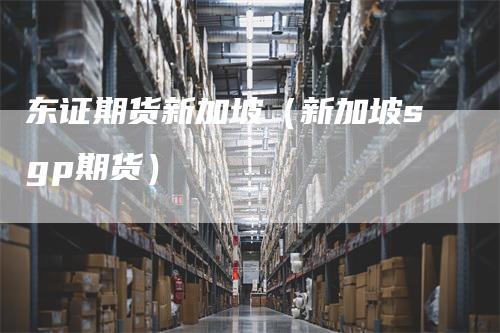 东证期货新加坡（新加坡sgp期货）