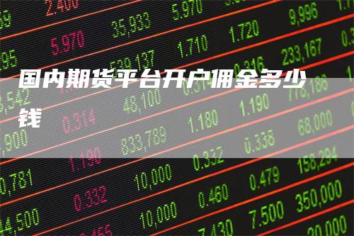 国内期货平台开户佣金多少钱