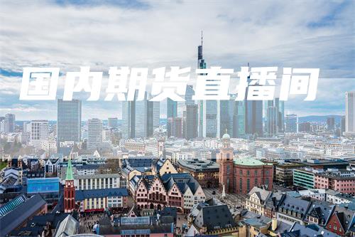 国内期货直播间