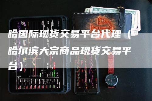哈国际现货交易平台代理（哈尔滨大宗商品现货交易平台）