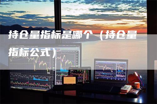 持仓量指标是哪个（持仓量指标公式）