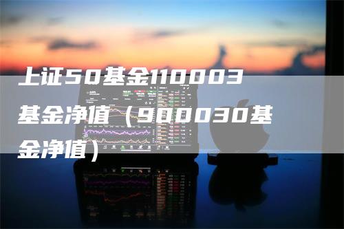 上证50基金110003基金净值(900030基金净值)