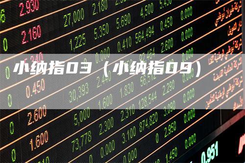小纳指03（小纳指09）