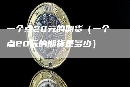 一个点20元的期货(一个点20元的期货是多少)