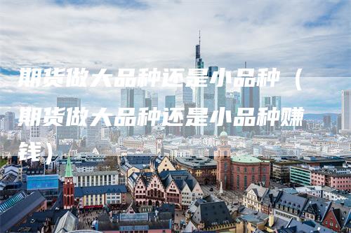 期货做大品种还是小品种(期货做大品种还是小品种赚钱)