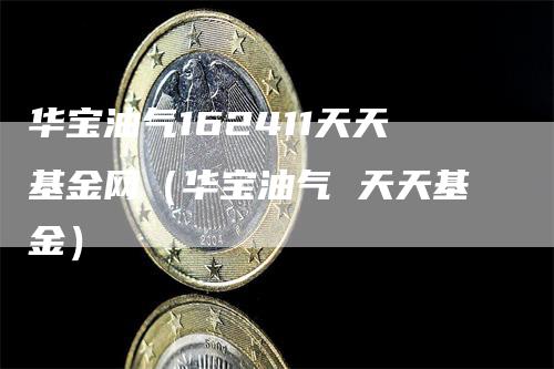 华宝油气162411天天基金网（华宝油气 天天基金）